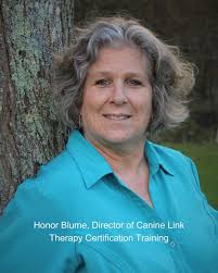 Fairview Hospital BHS