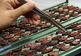Maybe you would like to learn more about one of these? Guan Chong Berhad Gcb Cocoa Manufacturer Malaysia Butter Liquor Mass