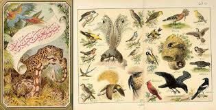 Animals Book Ottoman Empire Islamic Art History Images Art