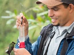 Antonio Bird's Instagram, Twitter & Facebook