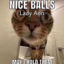 Spare Coochie Lady Ann Okbuddypersona