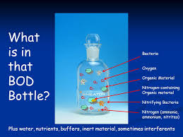 If the oxygen demand is too high, all the oxygen inthe water will be used up and living organisms will die. The Bod Test From A Z Aka A Bug S Eye View Of The Bod Test Ppt Video Online Download
