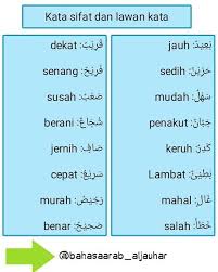 Namun frekuensinya tidak terlalu besar. Kata Sifat Dalam Bahasa Inggris Beserta Lawan Katanya Belajar