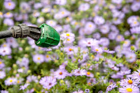 Neem oil uses for plants. How To Use Neem Oil As An Organic Insecticide