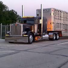 Bull Hauler Trucks Big Trucks Peterbilt Trucks