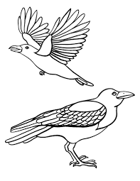 800 x 564 file type: Free Crow Coloring Page