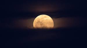 Happening on april 26, 2021, it's ~officially~ called the full pink super moon in scorpio, and it's going to push you to shake things up a bit, according to donna page, a certified astrologer in. Thvtxfu4ucbupm