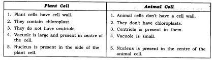 Difference between plant cell and animal cell for class 9 pdf. Ncert Solutions For Class 9 Science Chapter 5 The Fundamental Unit Of Life