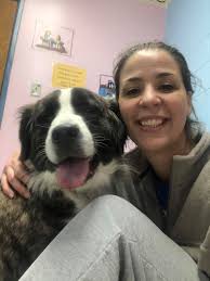 Ohio Newfoundland/St Bernard mix