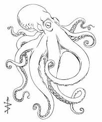 Pin By Marko Felbab On Art In 2021 Octopus Drawing Octopus Painting Octopus Tattoo Design