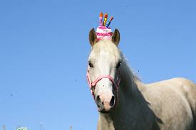 The most common horse themed decor material is cotton. 5 Tips For Throwing A Horse Themed Birthday Party From Gifts To Decor