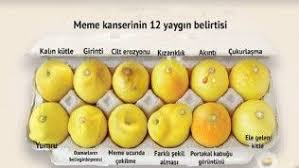 Pin On Temizlik