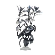 As plants for betta fish tanks, banana plants are undemanding and easy to care for. Marina Betta Red Ludwigia Plant Aquarium From Pond Planet Ltd Uk