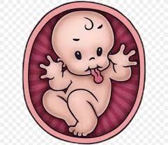 We did not find results for: Pregnancy Infant Uterus Cartoon Baby Shower Png 608x710px Pregnancy Baby Shower Cartoon Cheek Child Download Free