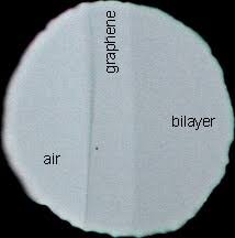 Each detector is packaged in a protective bag that when opened activates the product. Graphene Wikipedia