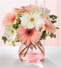 Pin By Kristin Frith On Gerber Daisies Flower Arrangements Simple Flowers Beautiful Flowers