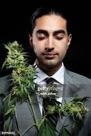26 Cannabis And Joson Stock Photos, High-Res Pictures, and Images