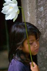 It's White Lotus Day, one of the sacred days of the year.