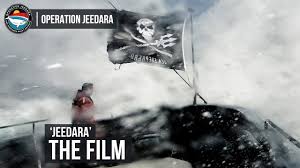 Youtube üzerinden resmi ve yasal bir şekilde film ve dizi yayınlayan birçok kanal var. Jeedara The Film Youtube