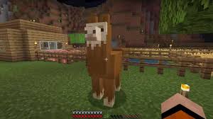 Animania mod 1.12.2/1.11.2 is an immersive mod that replaces and improves the passive animals in minecraft, adding multiple breeds, proper genders, new behaviors, and several new species. All Tameable Animals In Minecraft 1 17 Full List Gamer Tweak