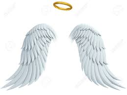 Image result for angel wings