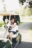 Image result for how do i clean my golf cart seats