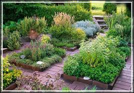 Vegetable Garden Look At This Article On Horticulture To Become Master Simple Backyard Gardening Dry Garden Landscaping Plants Garden Planning
