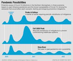 The spanish influenza was deadly, see how bad decisions and national security made it worse as the united states and the world comes to grip. What We Know About A Second Wave Of Coronavirus Elemental