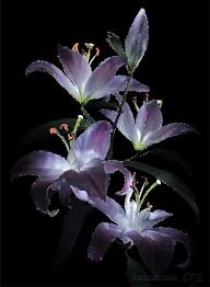 We did not find results for: Animation Flowers Photos 15 Easy Ways To Facilitate Animation Flowers Photos 99 Degree