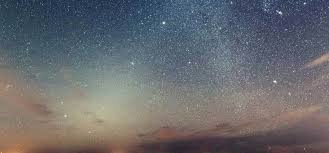 Lucille Florence Frederick