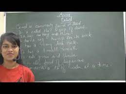 Camel is an animal, which is popularly known as the ship of the desert. Kids Essay Or 10 Line On Camel For Kids Learning Class 2 To 5 Youtube