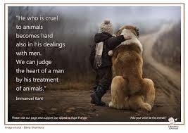 Immanuel Kant Animal Rights Animal Welfare Animals Animals Images Animal Quotes