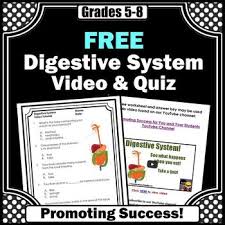 Only true fans will be able to answer all 50 halloween trivia questions correctly. Digestive System Questions And Answers For Grade 7