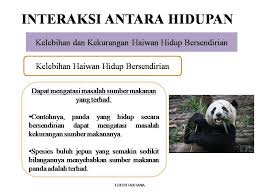 Haiwan yang tidak hidup secara berkumpulan. Mudahnya Sains Upsr Posts Facebook
