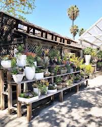 24 Pflanzenshops Fur Jeden Pflanzenliebhaber Dalla Vita Garten Blog In 2020 Garden Center Displays Plants Plant Shelves Outdoor