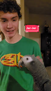 Jeremy The Pigeon