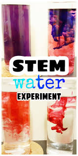 Discover the amazing properties of water and our role in conserving the planet's most valuable resource. Easy Science Experiment For Kids Properties Of Water Two Containers Filled Science Experiments Kids Elementary Stem Activities Science Activities For Kids