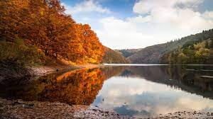Eifel national park centre ; Eifel National Park Wild Nature Wooded Areas Water And Wonderful Views Of The Night Sky Germany Travel
