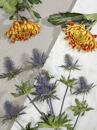 This day is not a public holiday in the uk but is actively observed by the majority of the population. Give Your Father A Fitting Father S Day Bouquet Funny How Flowers Do That