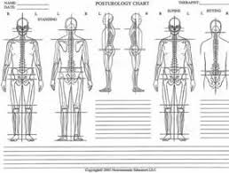 Postural Assessment Tools Google Search Assessment
