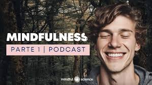 Crea el Hábito de Mindfulness: Masterclass con Héctor Bolaños y Santiago  Salom