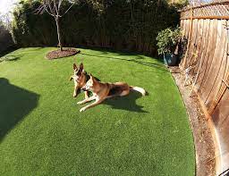 Artificial Grass Dog Run Installation