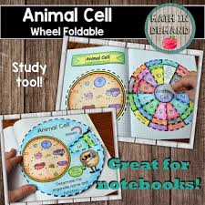 We did not find results for: Animal Cell Foldable Worksheets Teaching Resources Tpt