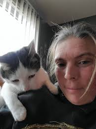 Lost cat Oreo near Hwy 16 close to Dayspring