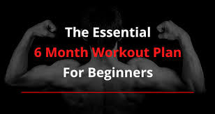 14 best beginner's exercises to do in the gym. The Essential 6 Month Calisthenics Workout Plan