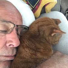 Guacamole for snacking today