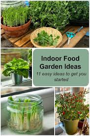 Indoor Food Garden Ideas 11 Easy Vegetables And Fruits To Get You Started In 2020 Food Garden Growing Vegetables Indoors Growing Vegetables