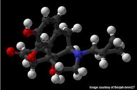 Is contrave worth trying if you want to lose weight? Contrave For The Treatment Of Obesity Clinical Trials Arena