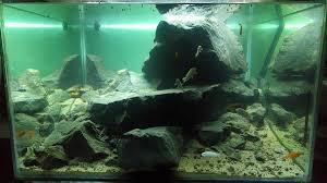 3d Akvaryum Fon Tabalkon Aqua Akvaryum Fonu Gazbeton El Isciligi Ile Yapilan Aquarium Background Akvaryum