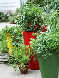 Varied Height And Wonderfully Colored Pots Even Better If They Were On Wheels To Mo Container Gardening Vegetables Diy Herb Garden Tomato Container Gardening